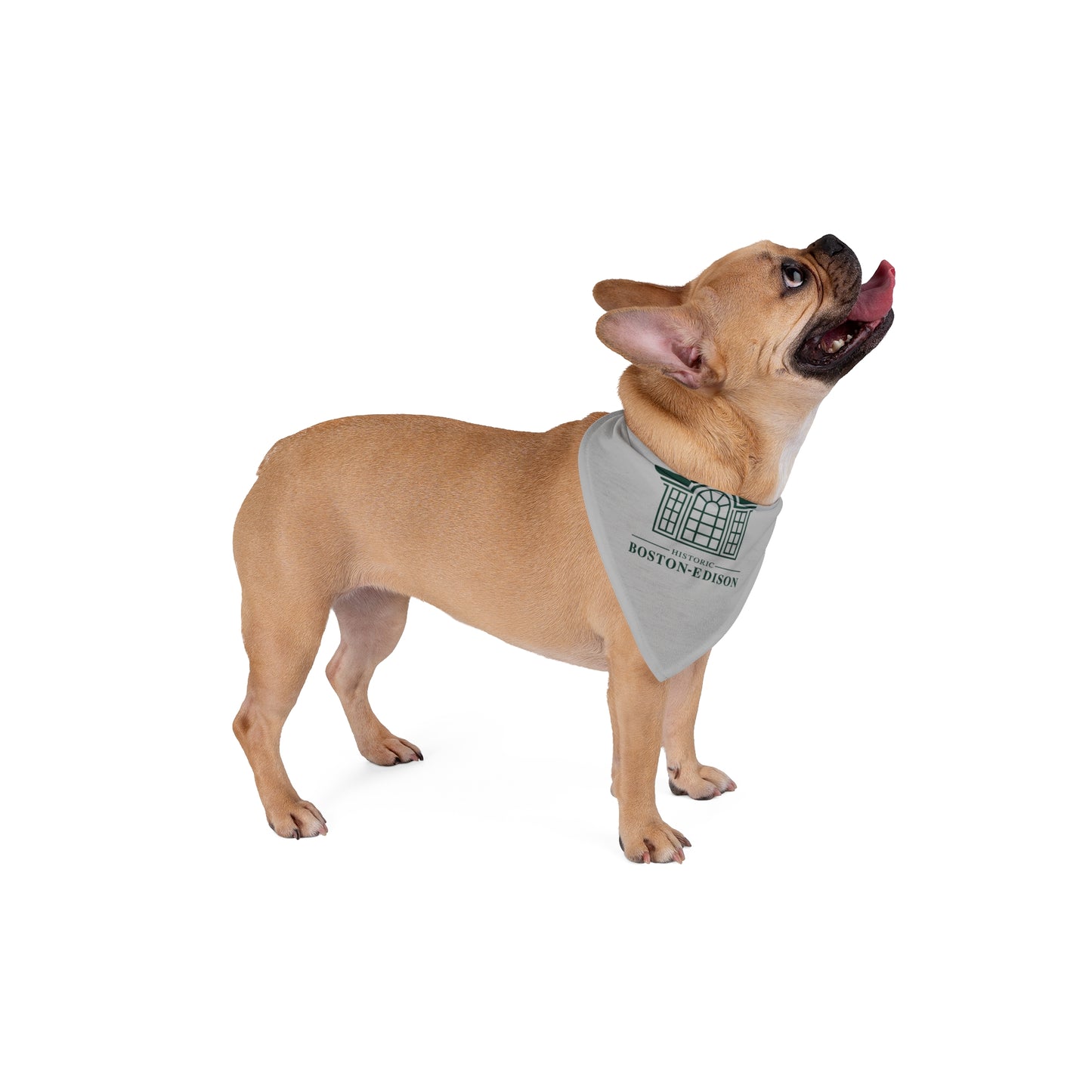 Historic Boston-Edison Pet Bandana - Stylish Accessory for Dogs, Perfect for Walks and Celebrations