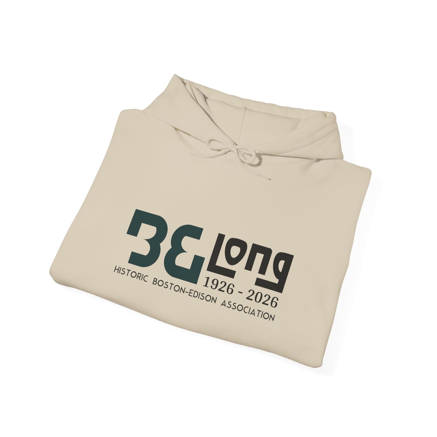 Historic Boston Association Hoodie, Comfortable Sweatshirt, Cozy Unisex Apparel, Perfect for Celebrations, Gifts for Friends