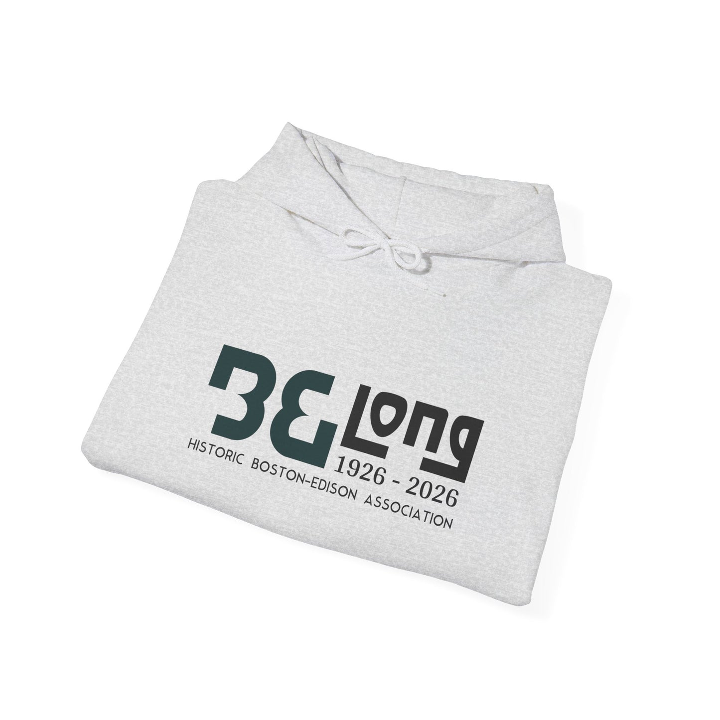 Historic Boston Association Hoodie, Comfortable Sweatshirt, Cozy Unisex Apparel, Perfect for Celebrations, Gifts for Friends