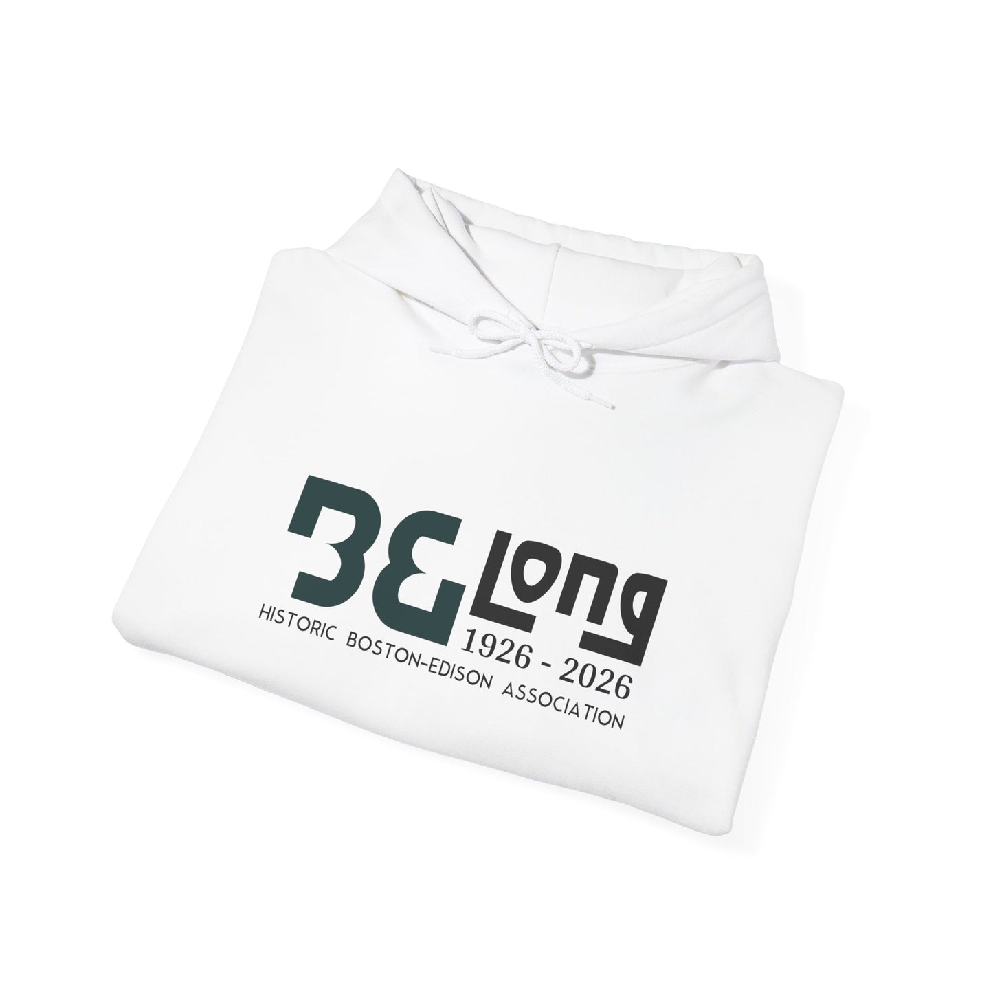 Historic Boston Association Hoodie, Comfortable Sweatshirt, Cozy Unisex Apparel, Perfect for Celebrations, Gifts for Friends