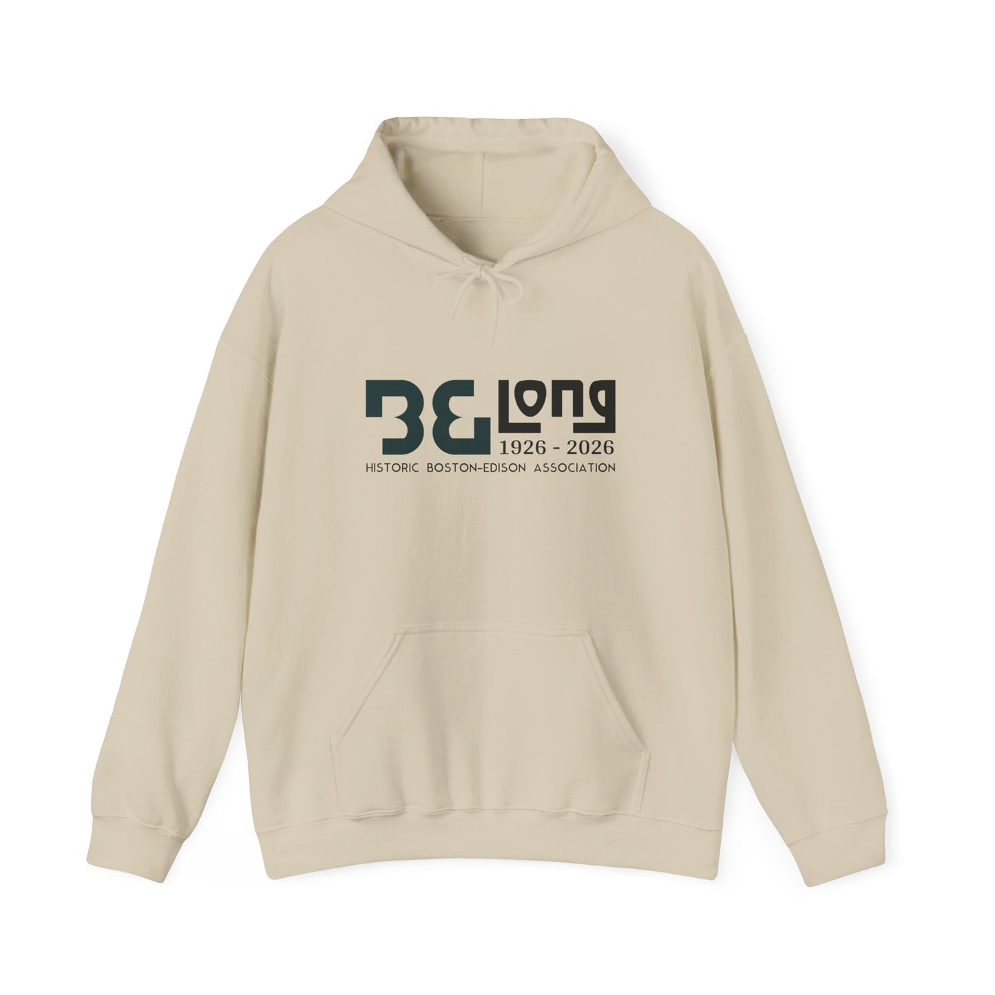 Historic Boston Association Hoodie, Comfortable Sweatshirt, Cozy Unisex Apparel, Perfect for Celebrations, Gifts for Friends