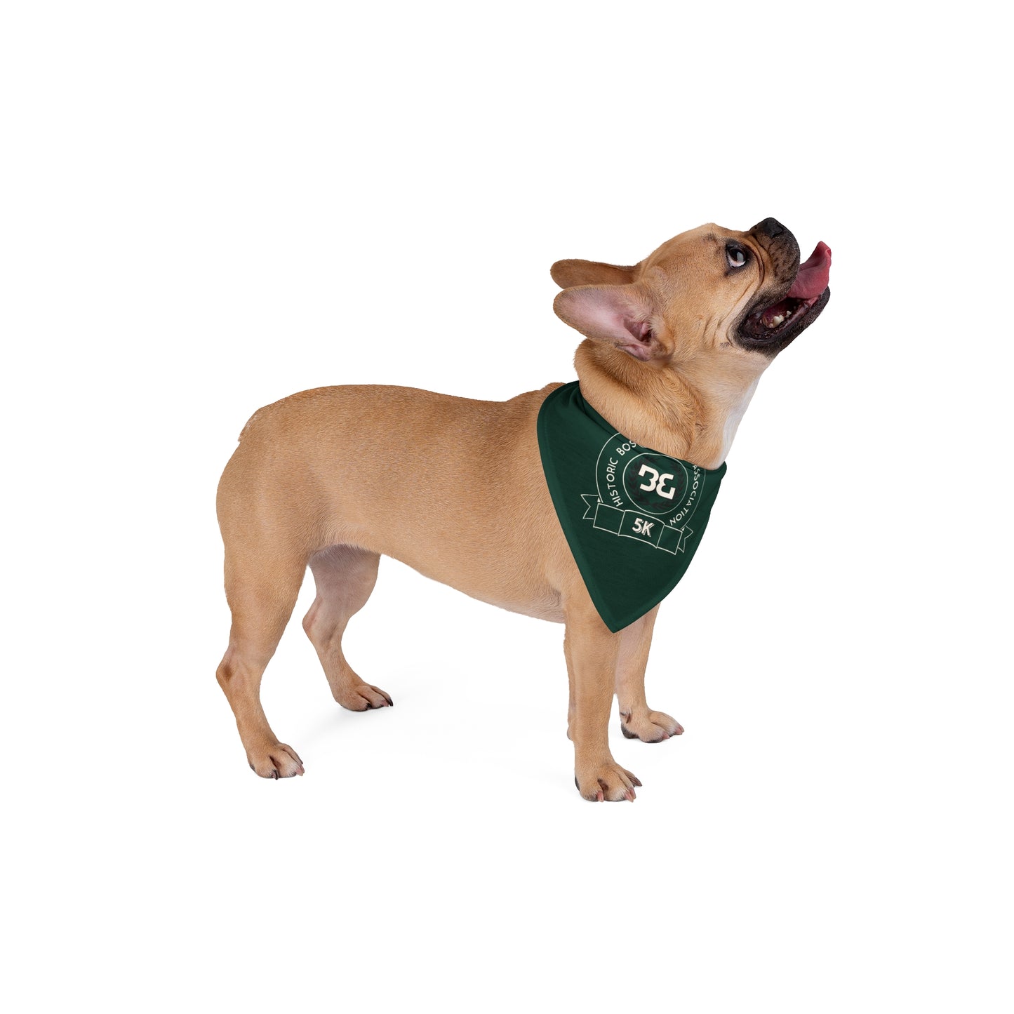 5K Stylish Pet Bandana for Dogs, Cute Dog Accessories, Pet Fashion, Gift for Pet Lovers, Customizable Dog Wear